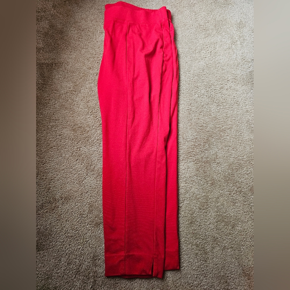 The Limited Collection Bold Red Pants